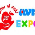 AVIS-PER-EXPO