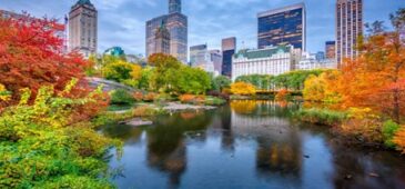 A New York con AVIS in autunno